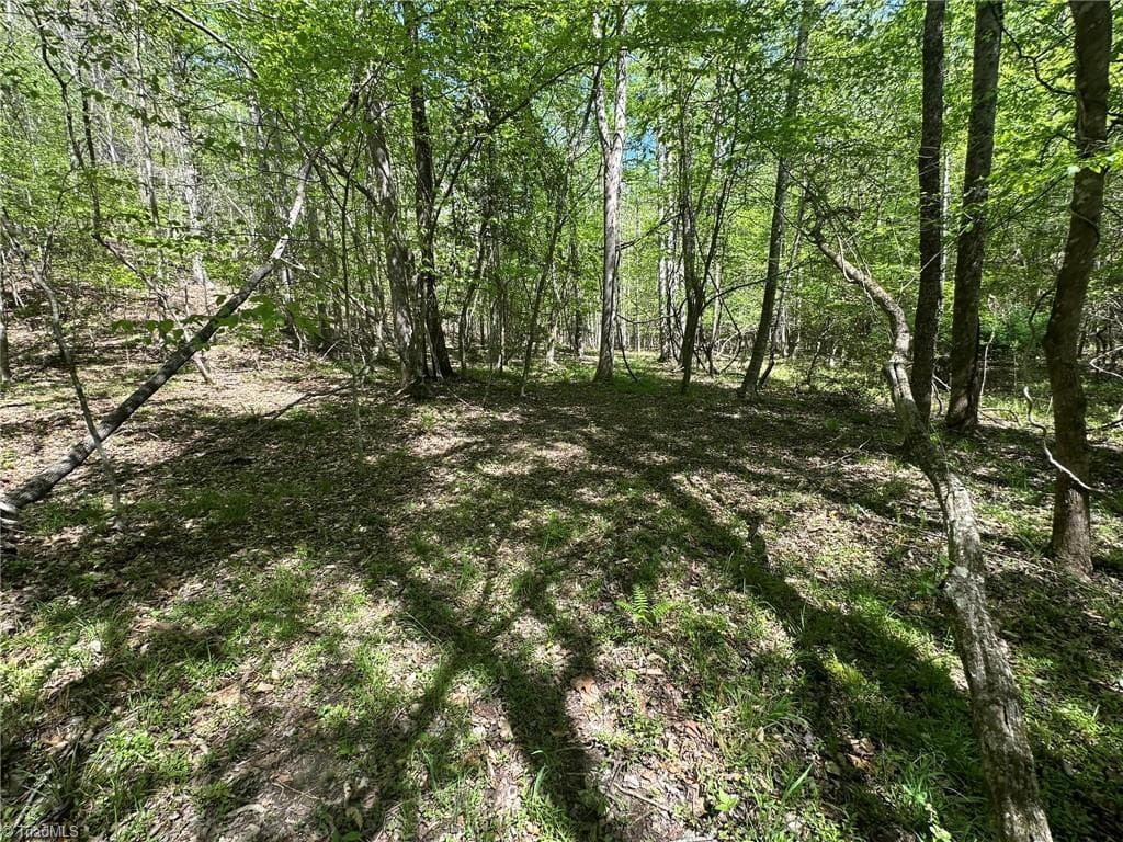 Unimproved Land at 000 NC Highway 268, Wilkesboro NC 28697, photo 25 of 49