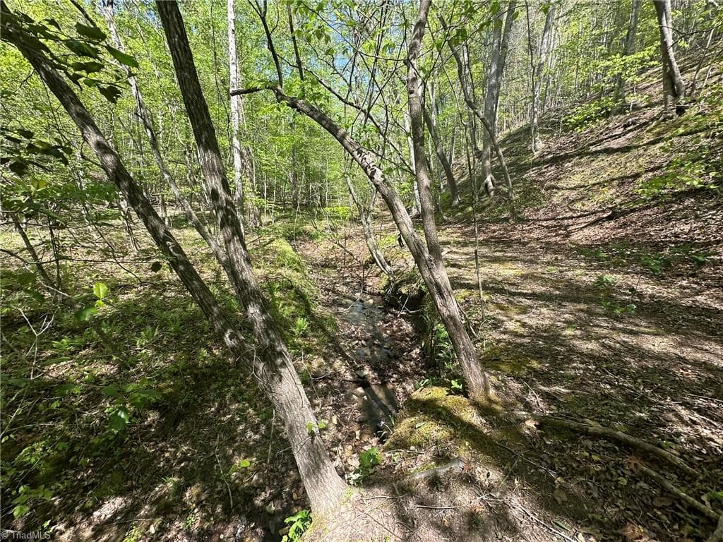 Unimproved Land at 000 NC Highway 268, Wilkesboro NC 28697, photo 21 of 49