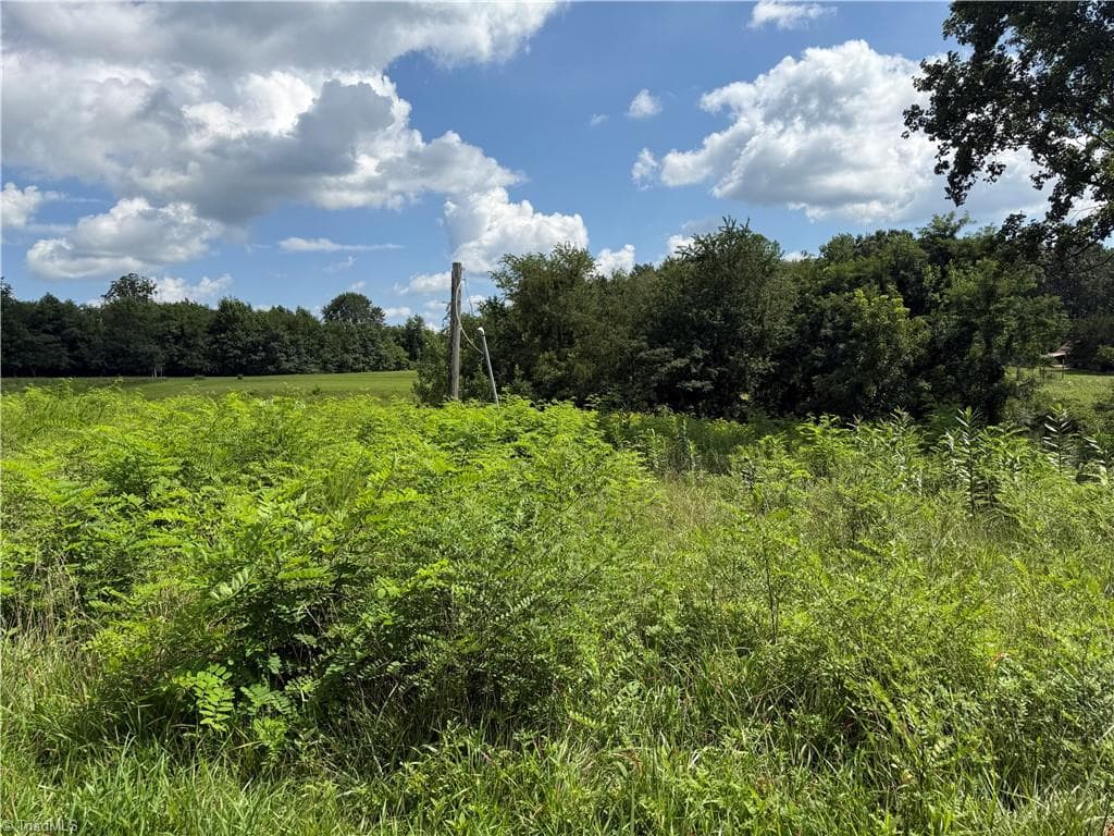 Investment at 00 McCarther Road # 2, Mount Airy NC 27031, photo 2 of 23