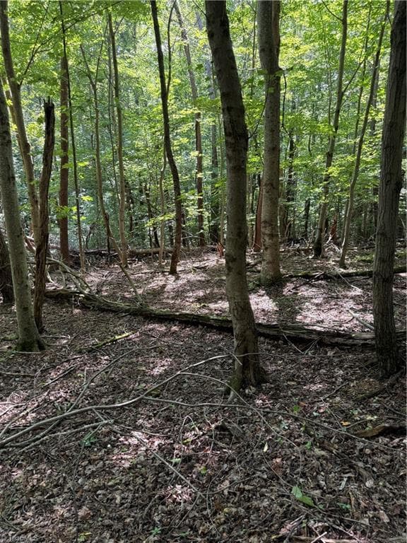 Investment at 00 McCarther Road # 2, Mount Airy NC 27031, photo 13 of 23