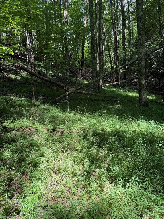 Investment at 00 McCarther Road # 2, Mount Airy NC 27031, photo 16 of 23