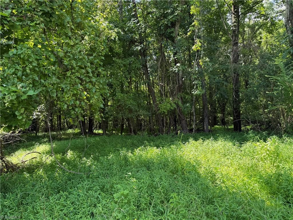 Investment at 00 McCarther Road # 2, Mount Airy NC 27031, photo 12 of 23