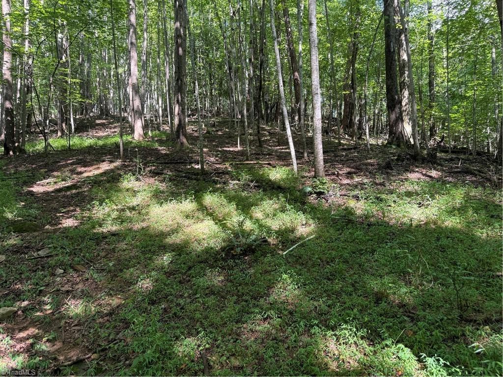 Investment at 00 McCarther Road # 2, Mount Airy NC 27031, photo 22 of 23