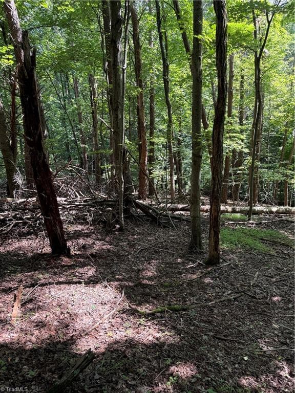 Investment at 00 McCarther Road # 2, Mount Airy NC 27031, photo 14 of 23