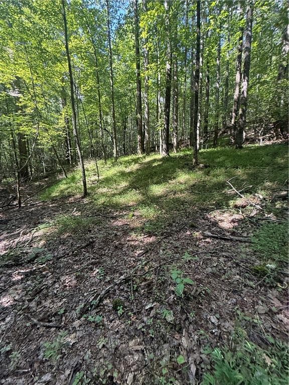 Investment at 00 McCarther Road # 2, Mount Airy NC 27031, photo 15 of 23