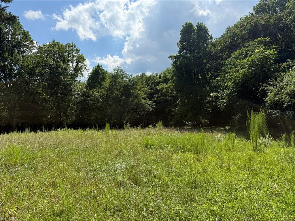 Investment at 00 McCarther Road # 2, Mount Airy NC 27031, photo 11 of 23