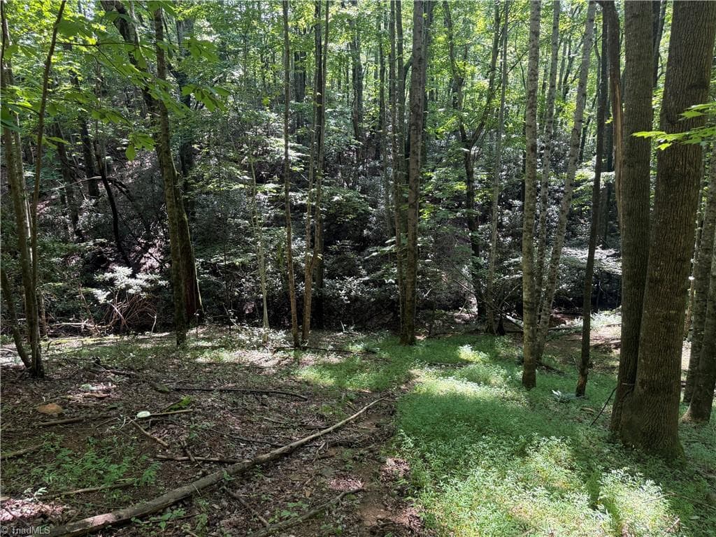 Investment at 00 McCarther Road # 2, Mount Airy NC 27031, photo 19 of 23