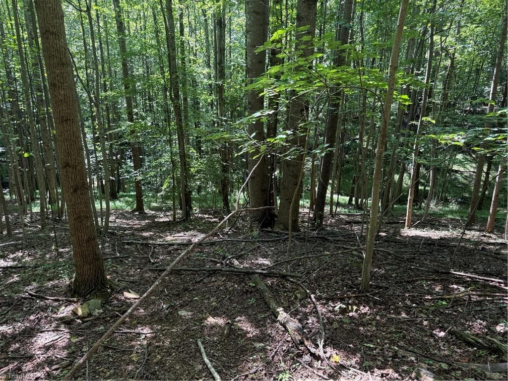 Investment at 00 McCarther Road # 2, Mount Airy NC 27031, photo 21 of 23