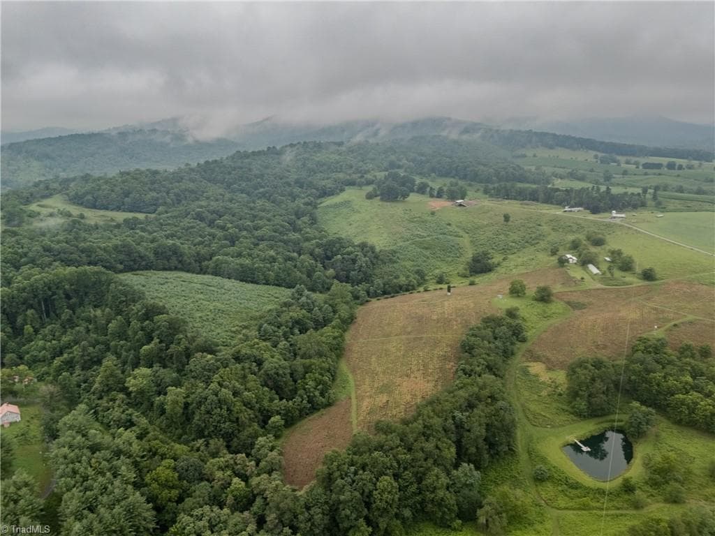 Agriculture at 000 Bledsoe Road, Sparta NC 28675, photo 12 of 14