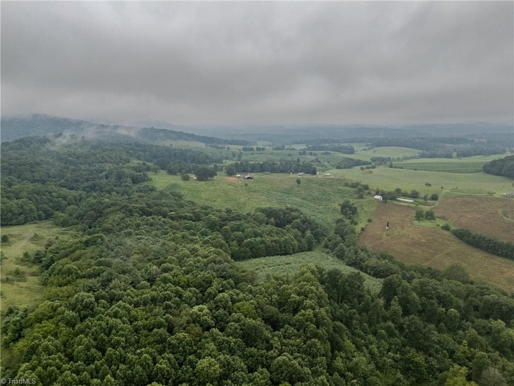 Agriculture at 000 Bledsoe Road, Sparta NC 28675, photo 10 of 14