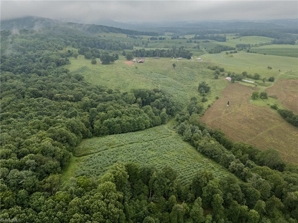 Agriculture at 000 Bledsoe Road, Sparta NC 28675, photo 11 of 14