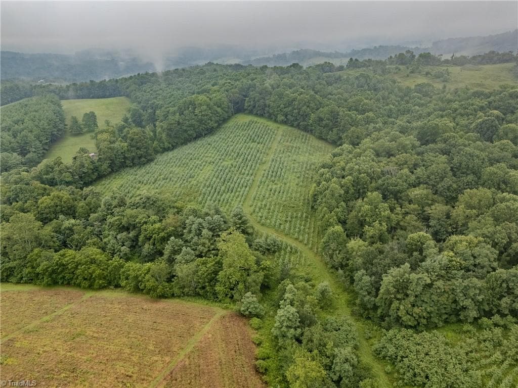 Agriculture at 000 Bledsoe Road, Sparta NC 28675, photo 4 of 14