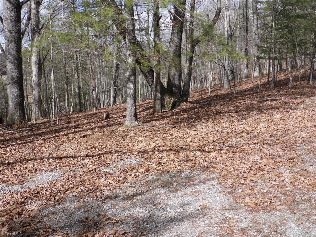 Unimproved Land at TBD Happy Woods Road, Piney Creek NC 28631, photo 6 of 20