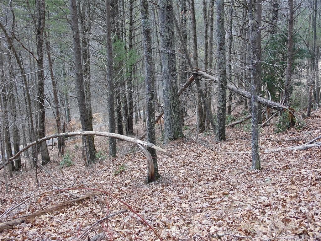 Unimproved Land at TBD Happy Woods Road, Piney Creek NC 28631, photo 13 of 20