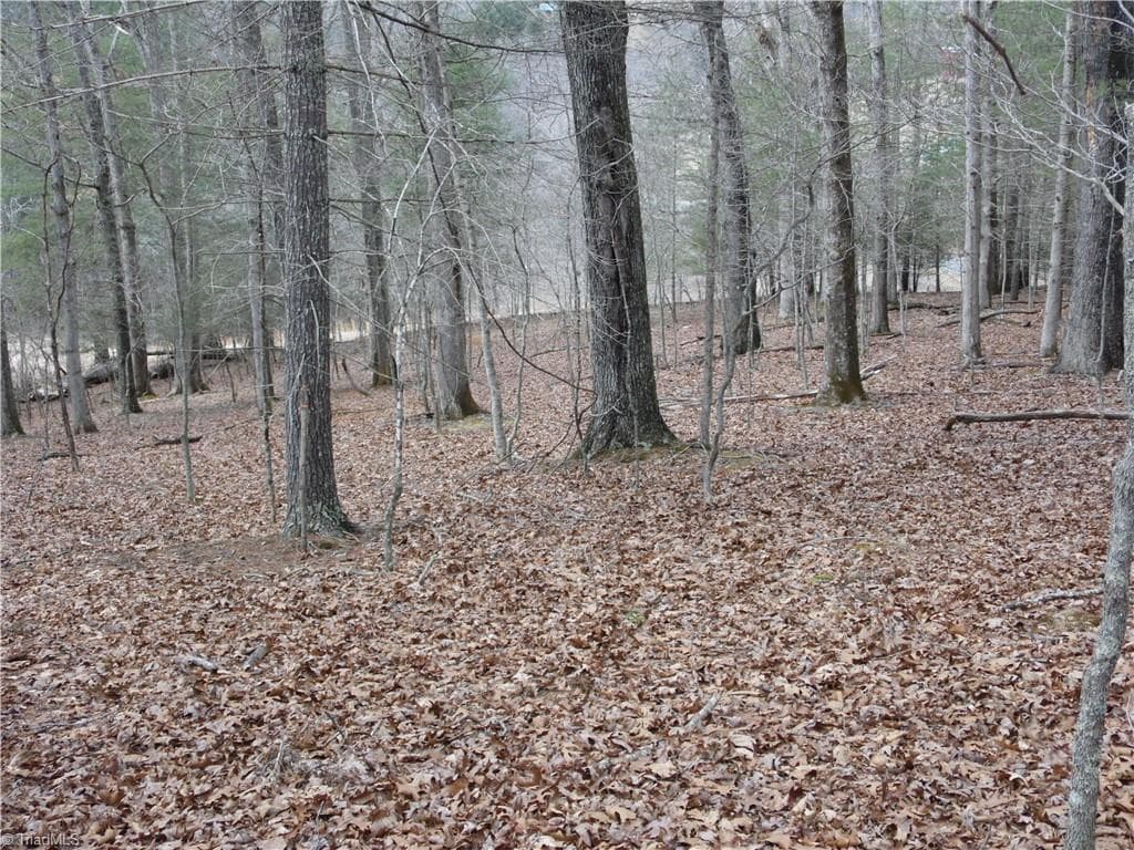 Unimproved Land at TBD Happy Woods Road, Piney Creek NC 28631, photo 17 of 20
