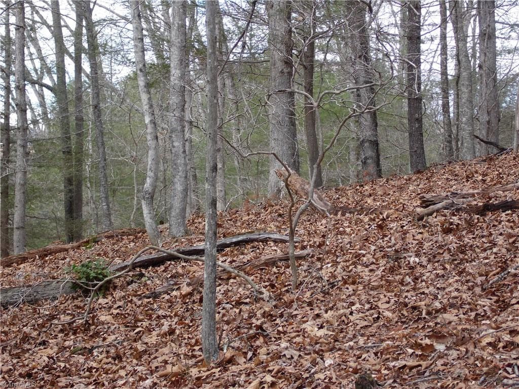 Unimproved Land at TBD Happy Woods Road, Piney Creek NC 28631, photo 16 of 20
