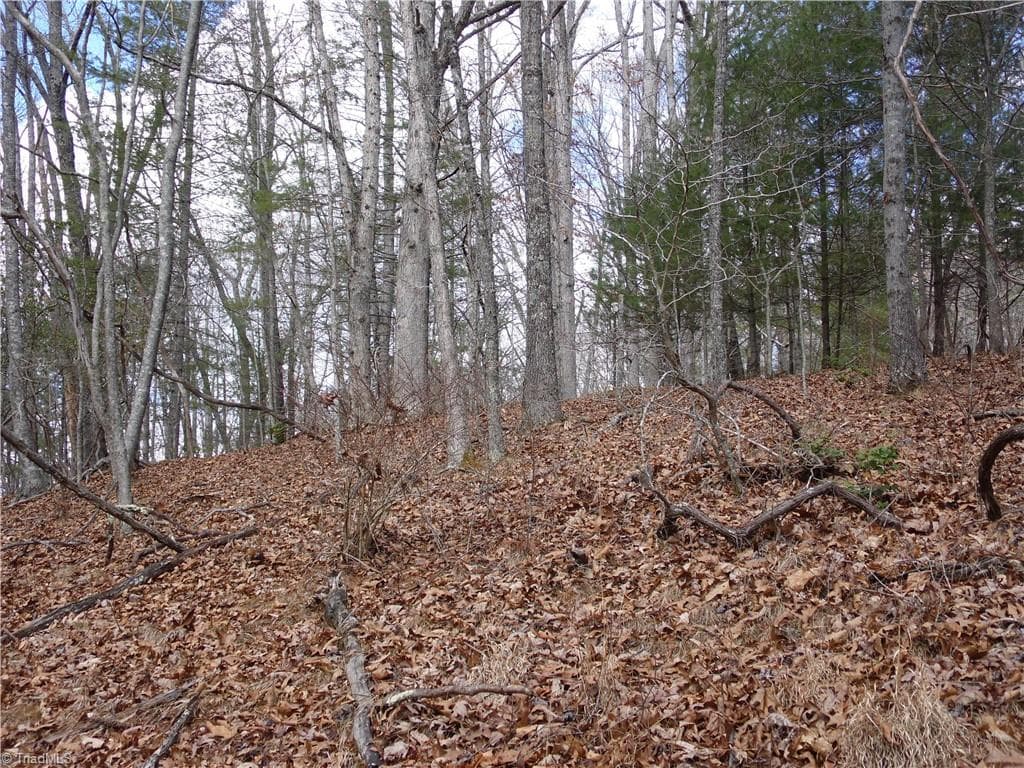 Unimproved Land at TBD Happy Woods Road, Piney Creek NC 28631, photo 12 of 20