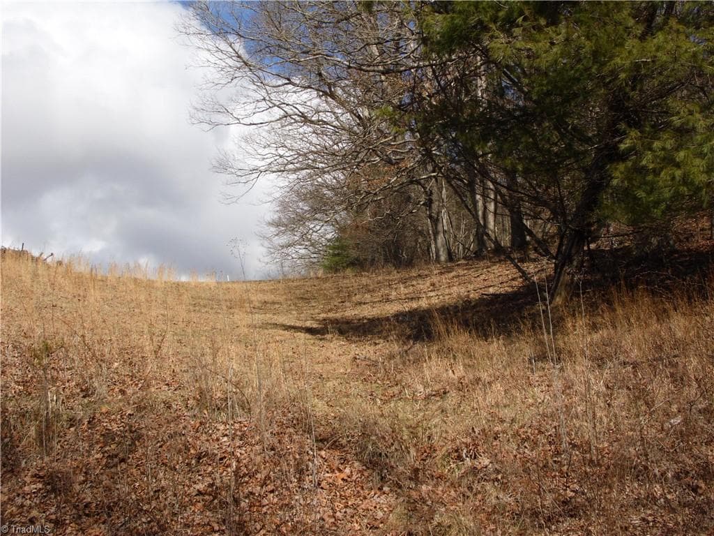 Unimproved Land at TBD Happy Woods Road, Piney Creek NC 28631, photo 7 of 20