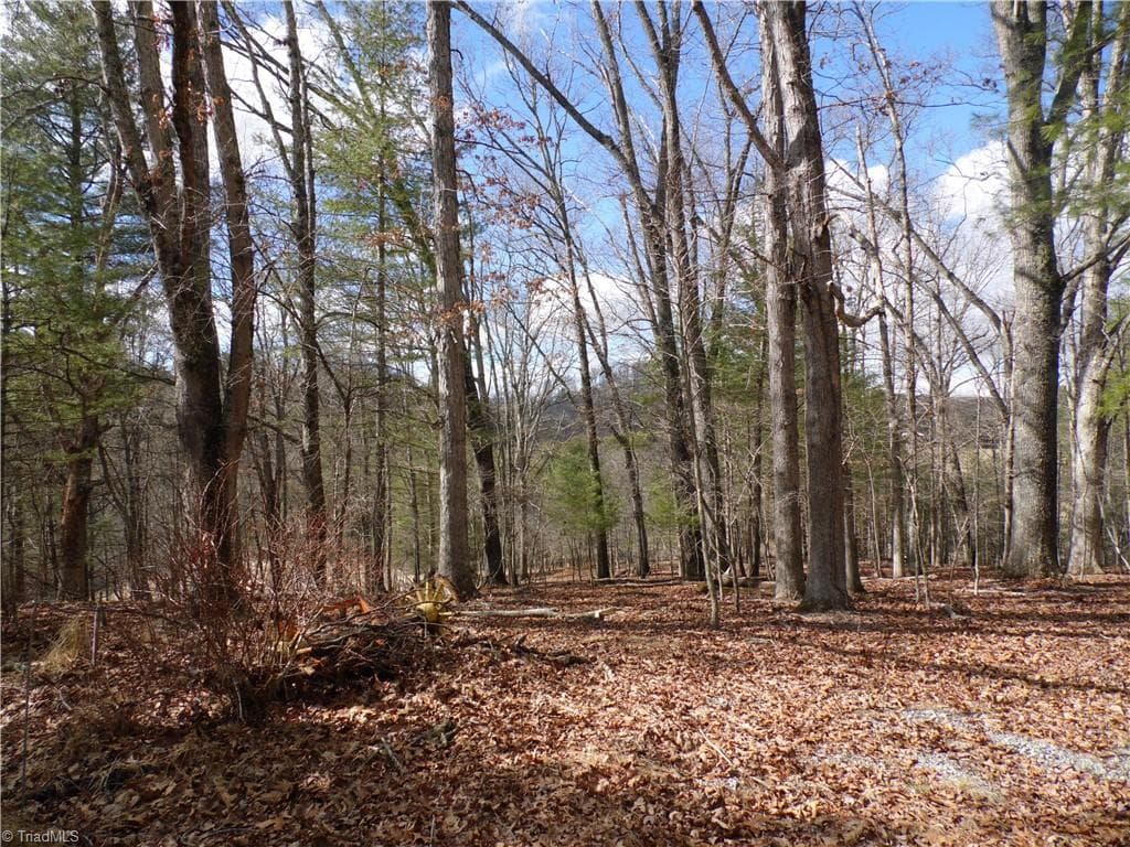 TBD Happy Woods Road, Piney Creek NC 28631