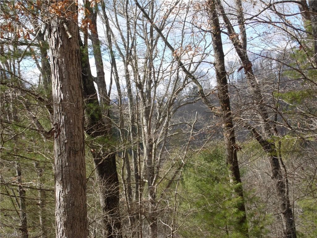Unimproved Land at TBD Happy Woods Road, Piney Creek NC 28631, photo 5 of 20