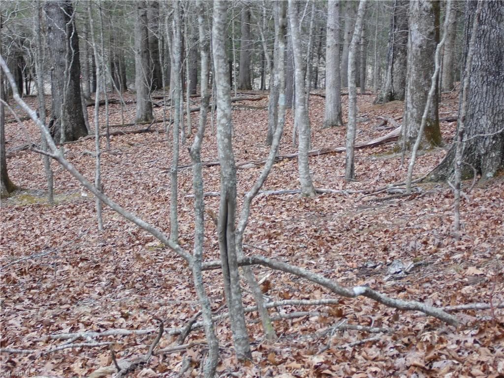 Unimproved Land at TBD Happy Woods Road, Piney Creek NC 28631, photo 10 of 20