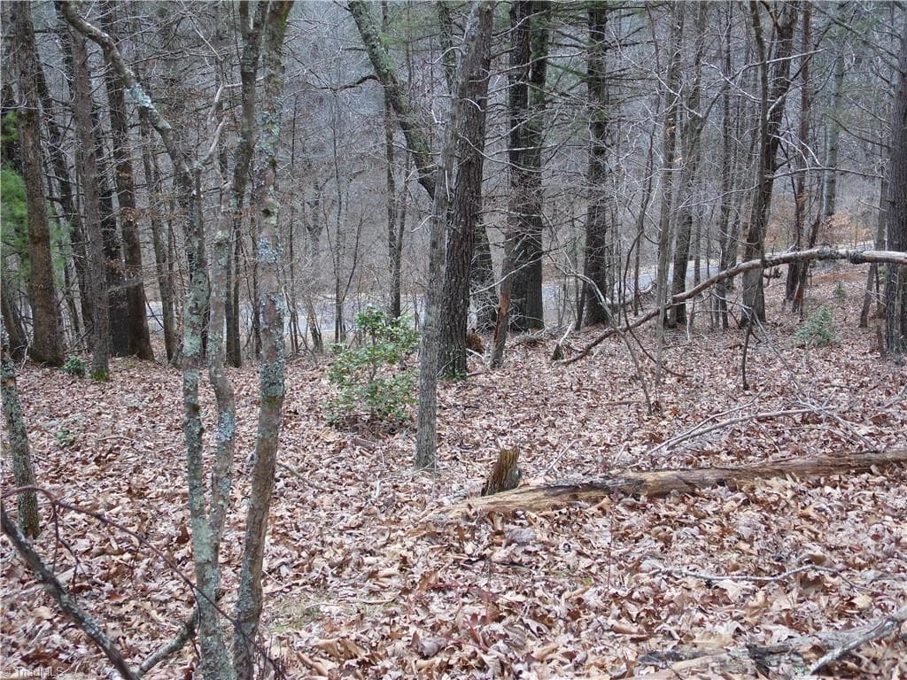 Unimproved Land at TBD Happy Woods Road, Piney Creek NC 28631, photo 14 of 20