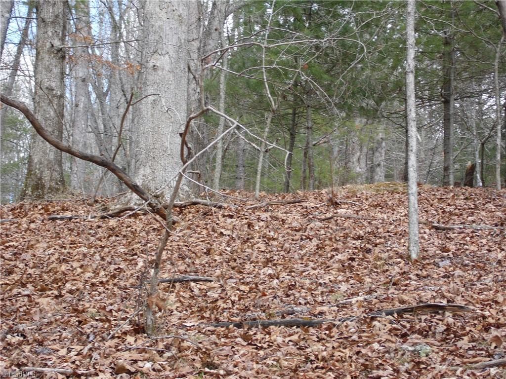Unimproved Land at TBD Happy Woods Road, Piney Creek NC 28631, photo 18 of 20