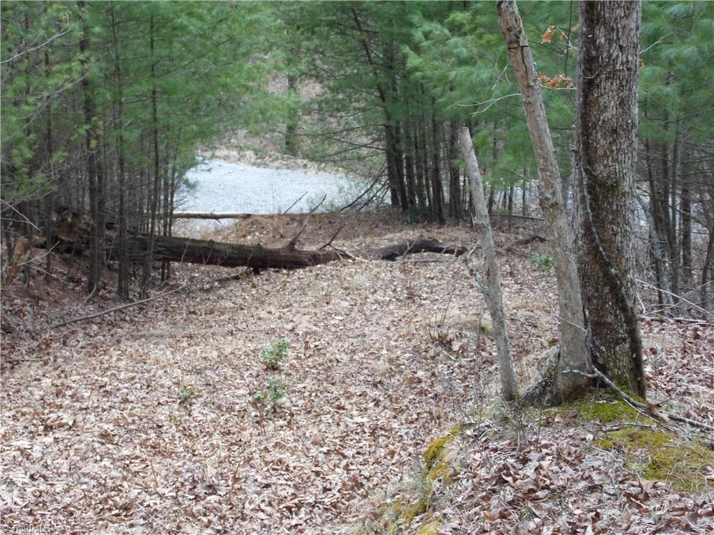 Unimproved Land at TBD Happy Woods Road, Piney Creek NC 28631, photo 15 of 20