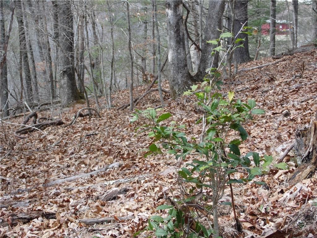 Unimproved Land at TBD Happy Woods Road, Piney Creek NC 28631, photo 11 of 20