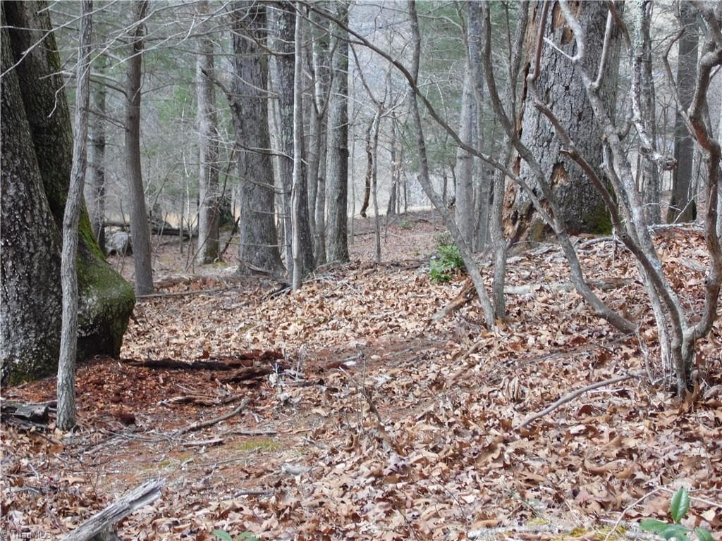 Unimproved Land at TBD Happy Woods Road, Piney Creek NC 28631, photo 19 of 20
