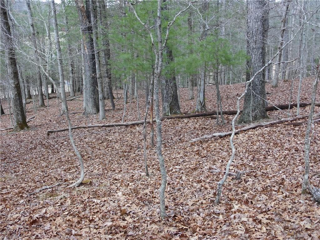Unimproved Land at TBD Happy Woods Road, Piney Creek NC 28631, photo 4 of 20