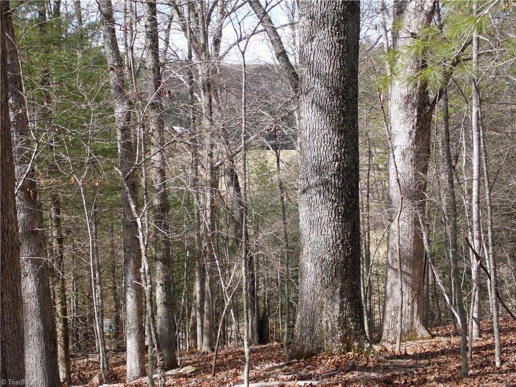 Unimproved Land at TBD Happy Woods Road, Piney Creek NC 28631, photo 8 of 20