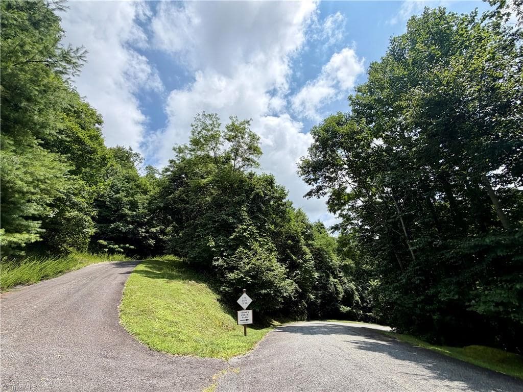 Resort at Lot 99 Beaver Dam Road, Banner Elk NC 28604, Banner Elk, photo 7 of 36