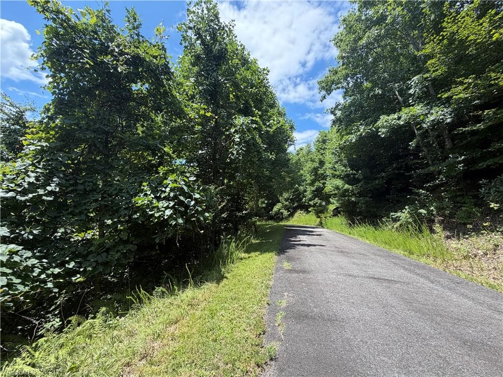 Resort at Lot 99 Beaver Dam Road, Banner Elk NC 28604, Banner Elk, photo 32 of 36