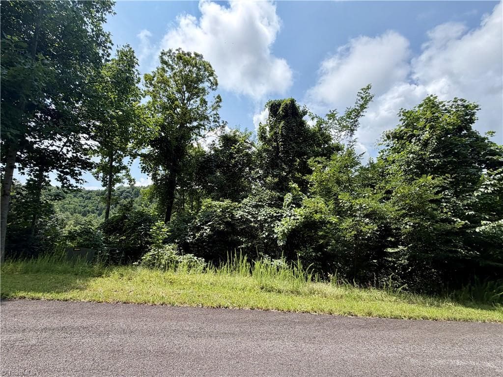 Resort at Lot 99 Beaver Dam Road, Banner Elk NC 28604, Banner Elk, photo 5 of 36