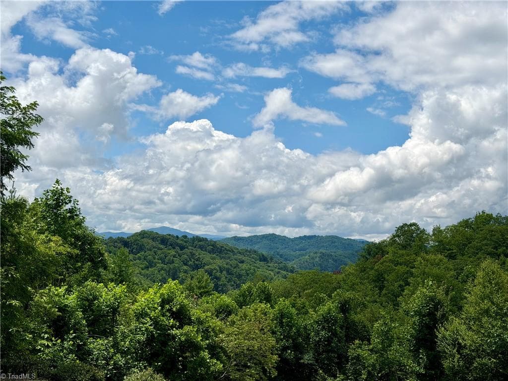 Resort at Lot 99 Beaver Dam Road, Banner Elk NC 28604, Banner Elk, photo 30 of 36