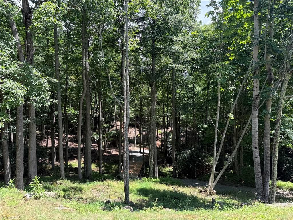 Resort at Lot 99 Beaver Dam Road, Banner Elk NC 28604, Banner Elk, photo 34 of 36