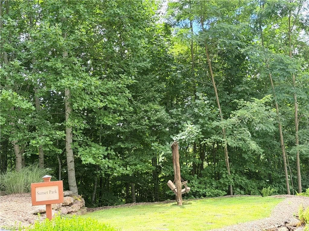 Resort at Lot 99 Beaver Dam Road, Banner Elk NC 28604, Banner Elk, photo 31 of 36