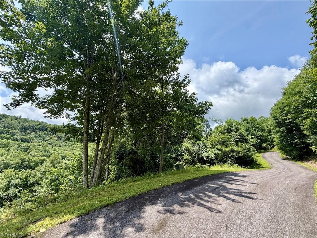 Resort at Lot 99 Beaver Dam Road, Banner Elk NC 28604, Banner Elk, photo 4 of 36