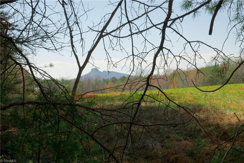 Unimproved Land at 4 Old Mill Road, Pinnacle NC 27043, photo 2 of 21
