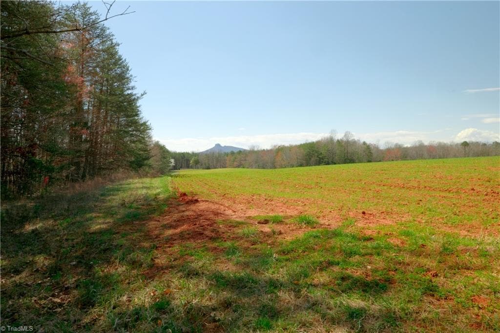 Unimproved Land at 4 Old Mill Road, Pinnacle NC 27043, photo 3 of 21