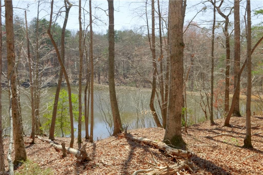 Unimproved Land at 4 Old Mill Road, Pinnacle NC 27043, photo 9 of 21