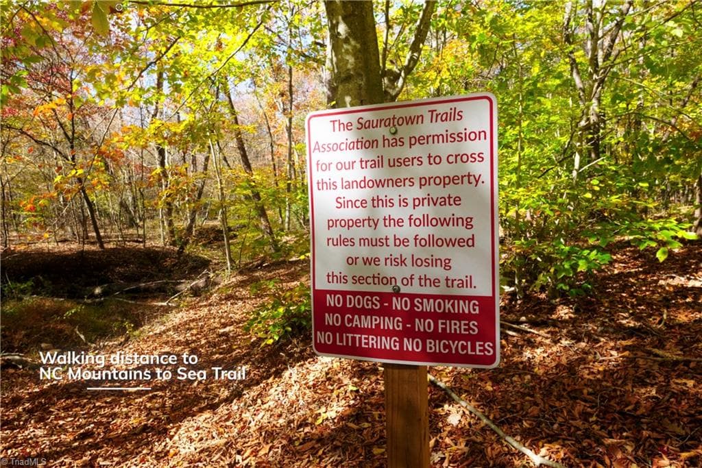 Unimproved Land at 4 Old Mill Road, Pinnacle NC 27043, photo 15 of 21