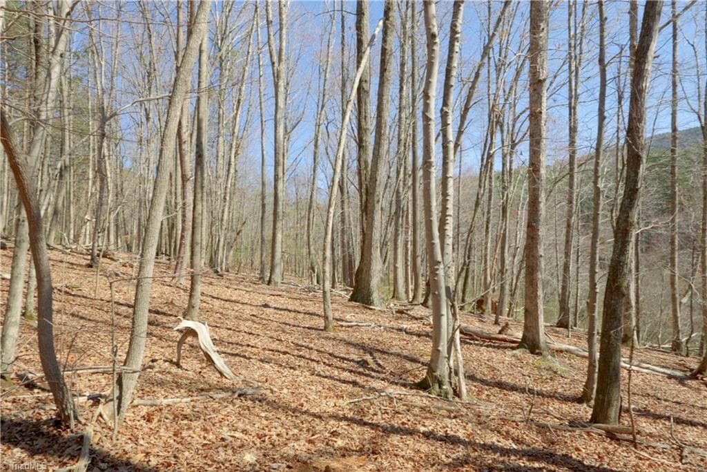 Unimproved Land at 4 Old Mill Road, Pinnacle NC 27043, photo 8 of 21