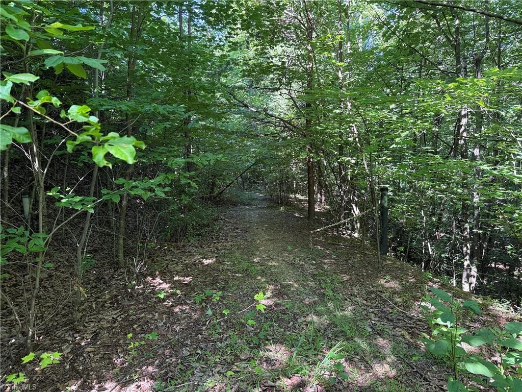 Single Family Residence at Lot 222 Casey Mountain Road, Purlear NC 28665, Purlear, photo 2 of 28