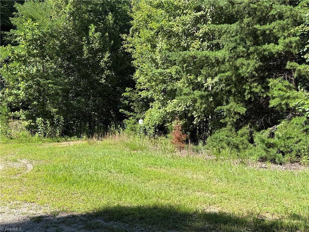Single Family Residence at Lot 222 Casey Mountain Road, Purlear NC 28665, Purlear, photo 6 of 28