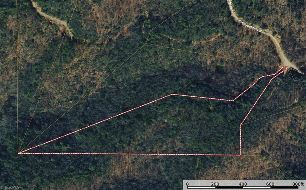 Single Family Residence at Lot 222 Casey Mountain Road, Purlear NC 28665, Purlear, photo 3 of 28