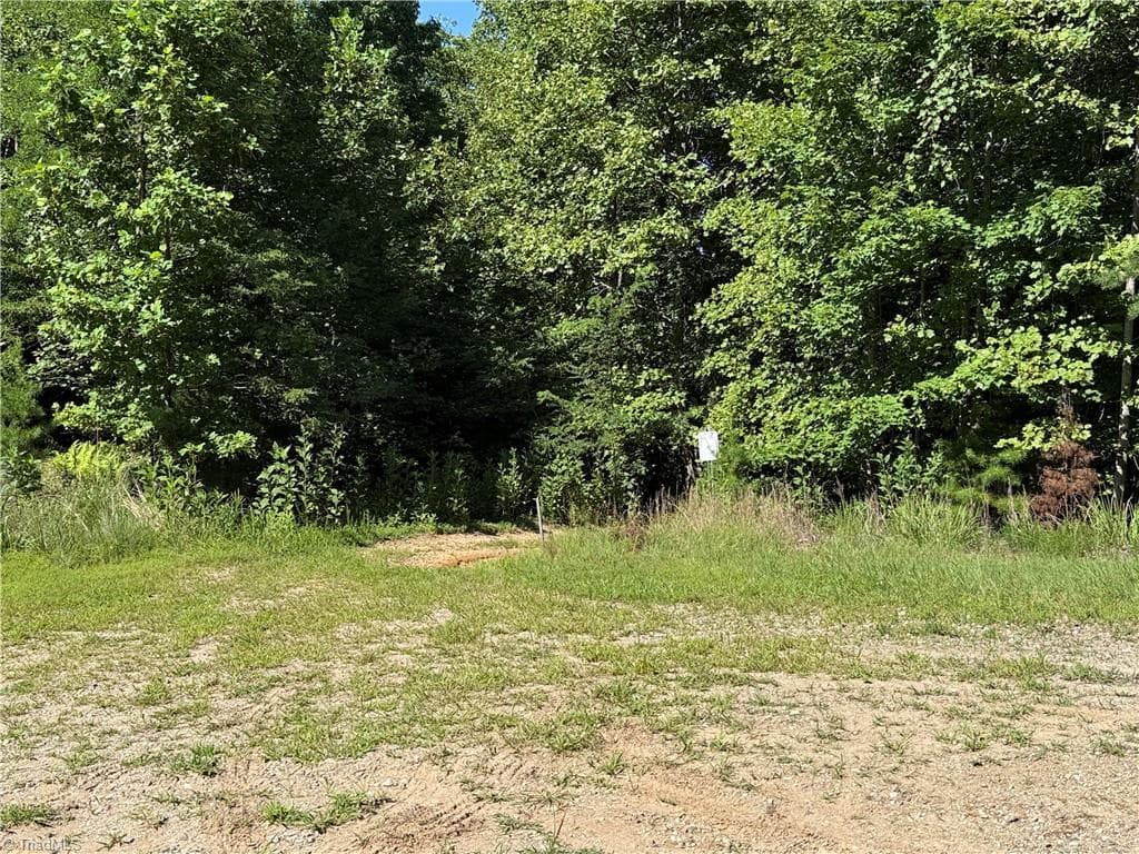 Lot 222 Casey Mountain Road, Purlear NC 28665