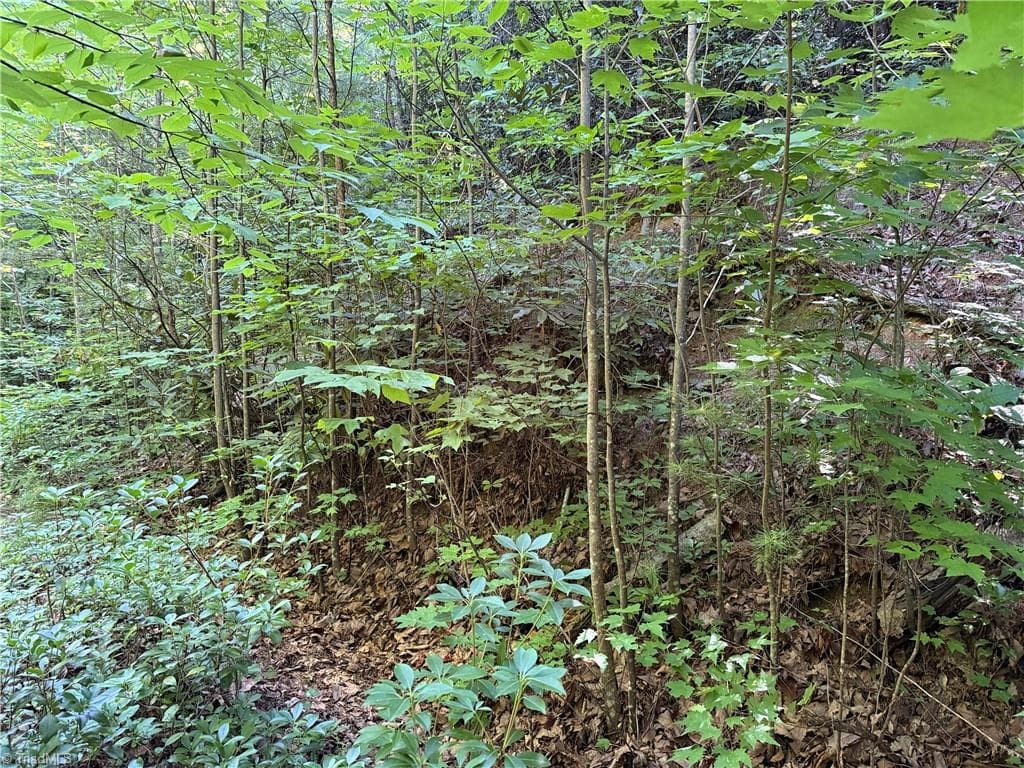 Single Family Residence at Lot 222 Casey Mountain Road, Purlear NC 28665, Purlear, photo 5 of 28
