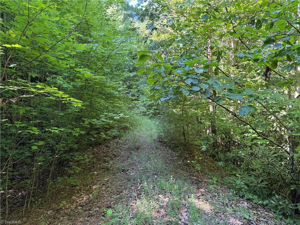 Single Family Residence at Lot 222 Casey Mountain Road, Purlear NC 28665, Purlear, photo 4 of 28
